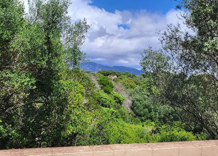 Appartement Casa Marcelli 3 Porto-Vecchio (Corsica)